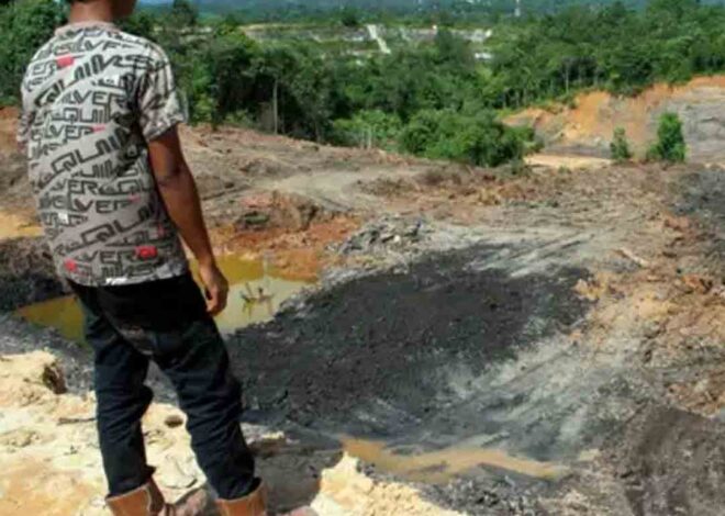 PT. DABN Dituduh Melanggar Banyak Aturan Di Indonesia
